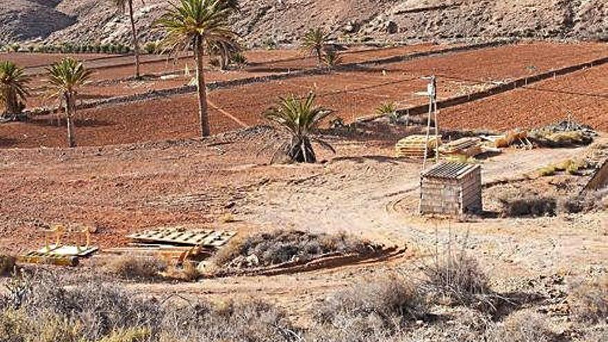 Imagen de las gavias que serán plantadas para la grabación.