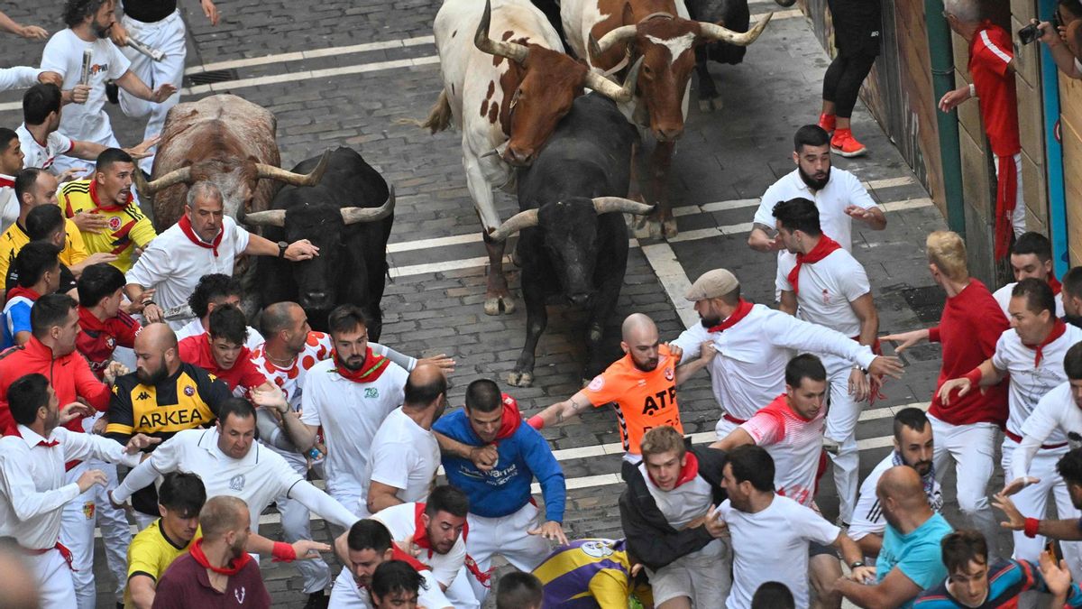Octavo y último encierro de San Fermín con toros de la ganadería Miura