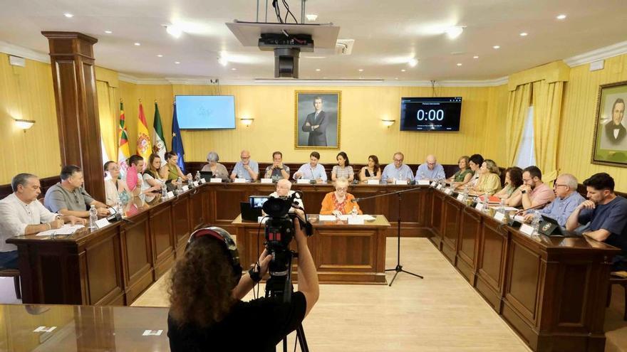 Cabra aprueba el plan especial para ordenar las energías renovables y suspender licencias para nuevas plantas