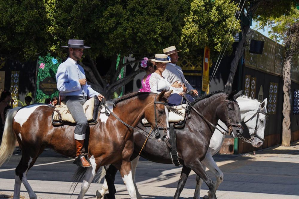 Primeros caballos en el Cortijo de Torres