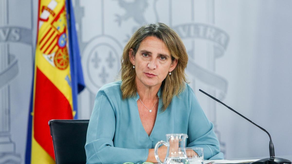 Vicepresidenta tercera y ministra de Transición Ecológica.