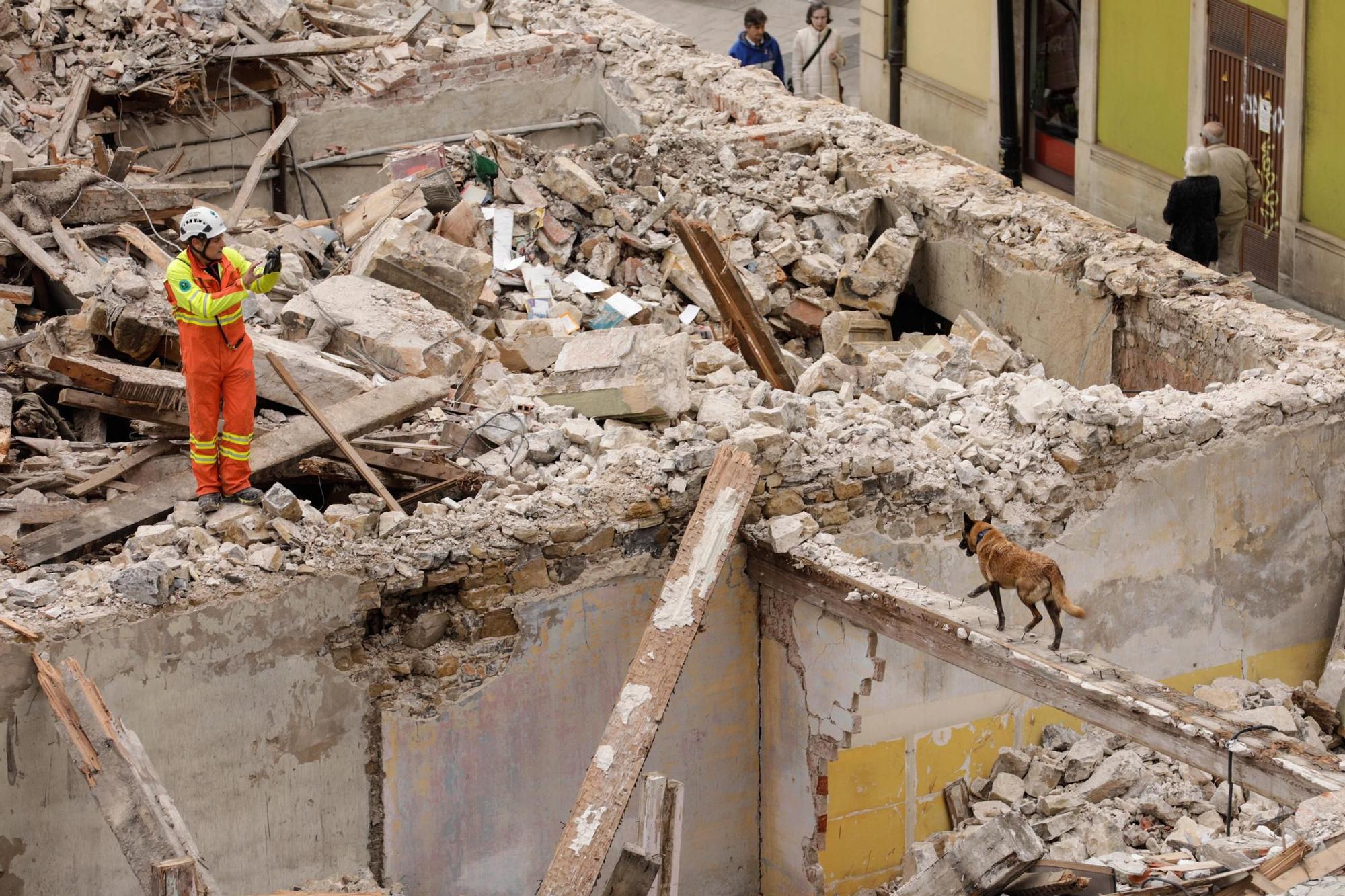 El entrenamiento de la Unidad Canina de Rescate del Principado en Gijón, en imágenes