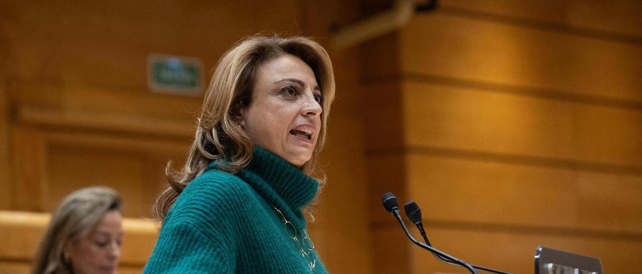 Cristina Valido durante su intervención en del debate parlamentario en el que su voto fue determinante