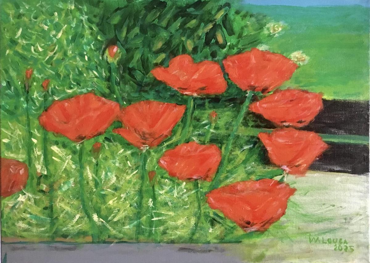 'Amapolas' de Manuel Lousa