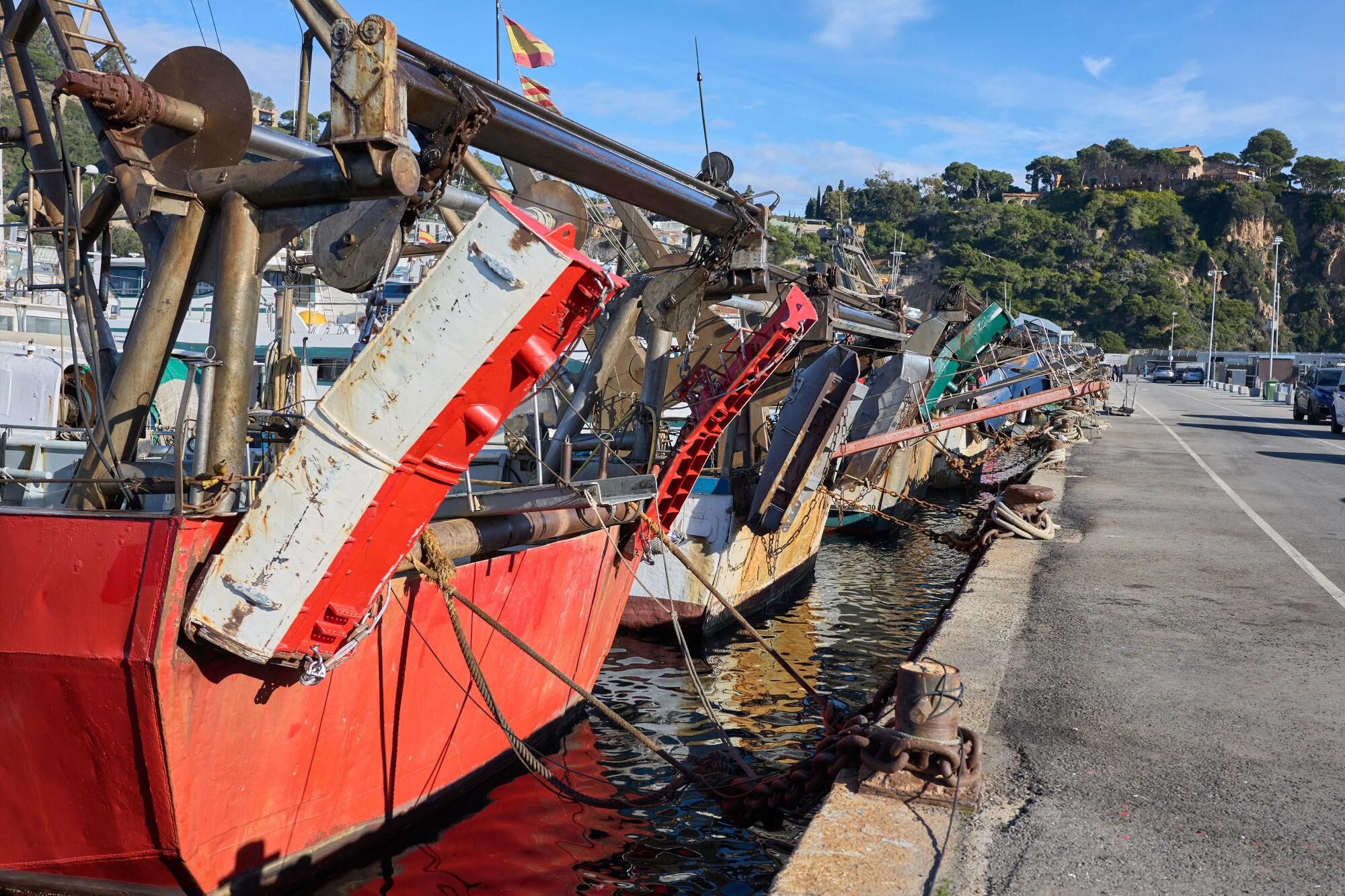 L'aturada de pescadors de Blanes, en imatges