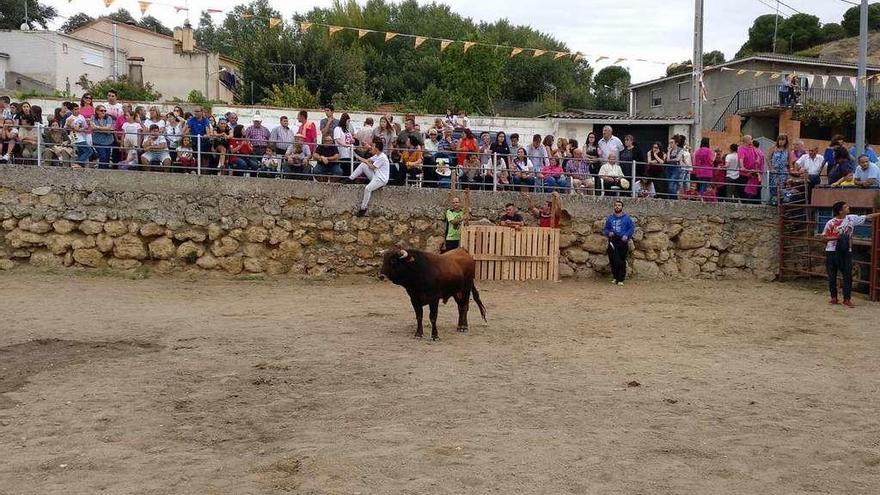 Uno de los instantes del encierro que cerró los festejos de San Miguel.