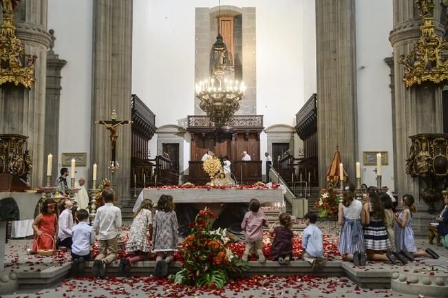 LLUVIA DE PETALOS EN LA CATEDRAL