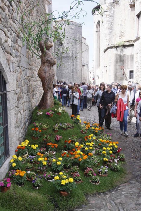 Girona es torna a omplir de visitants el darrer cap de setmana de Temps de Flors