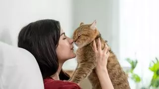 Manuel Manzano, veterinario: “Los gatos suelen elegir como persona favorita a la que se muestra un poco más distante”