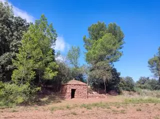 La DO Pla de Bages convoca una nova edició del Premi Viu la Pedra Seca