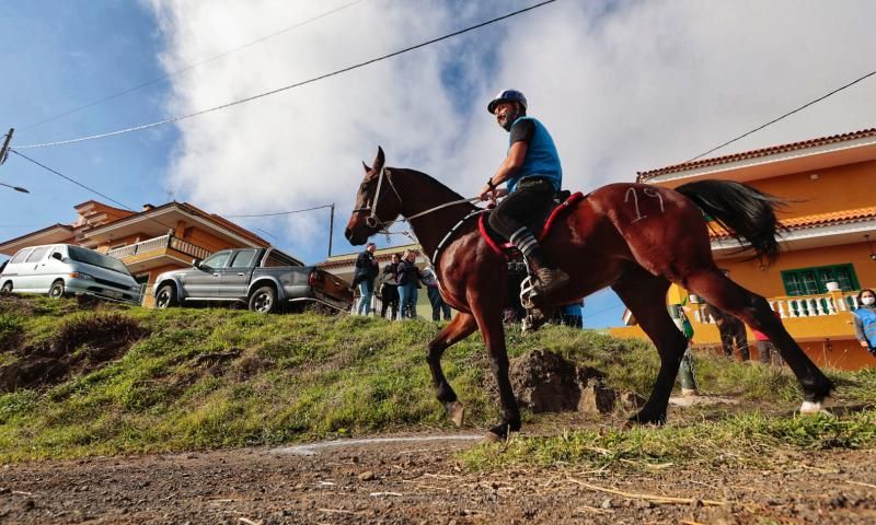 Carreras de caballos en Benijos (La Orotava)