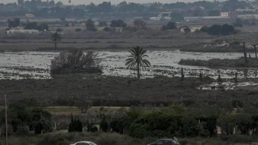 El área del Fondet de la Senieta.