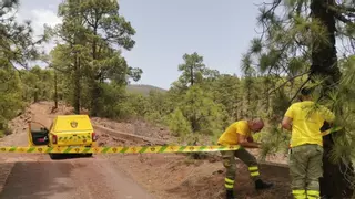 Tenerife blinda su monte ante la ola de calor y tras desalojar a 50 personas de Chipeque
