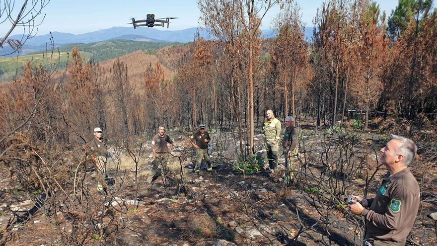 Galicia registró en 2021 la cifra más baja de incendios de los últimos 38 años