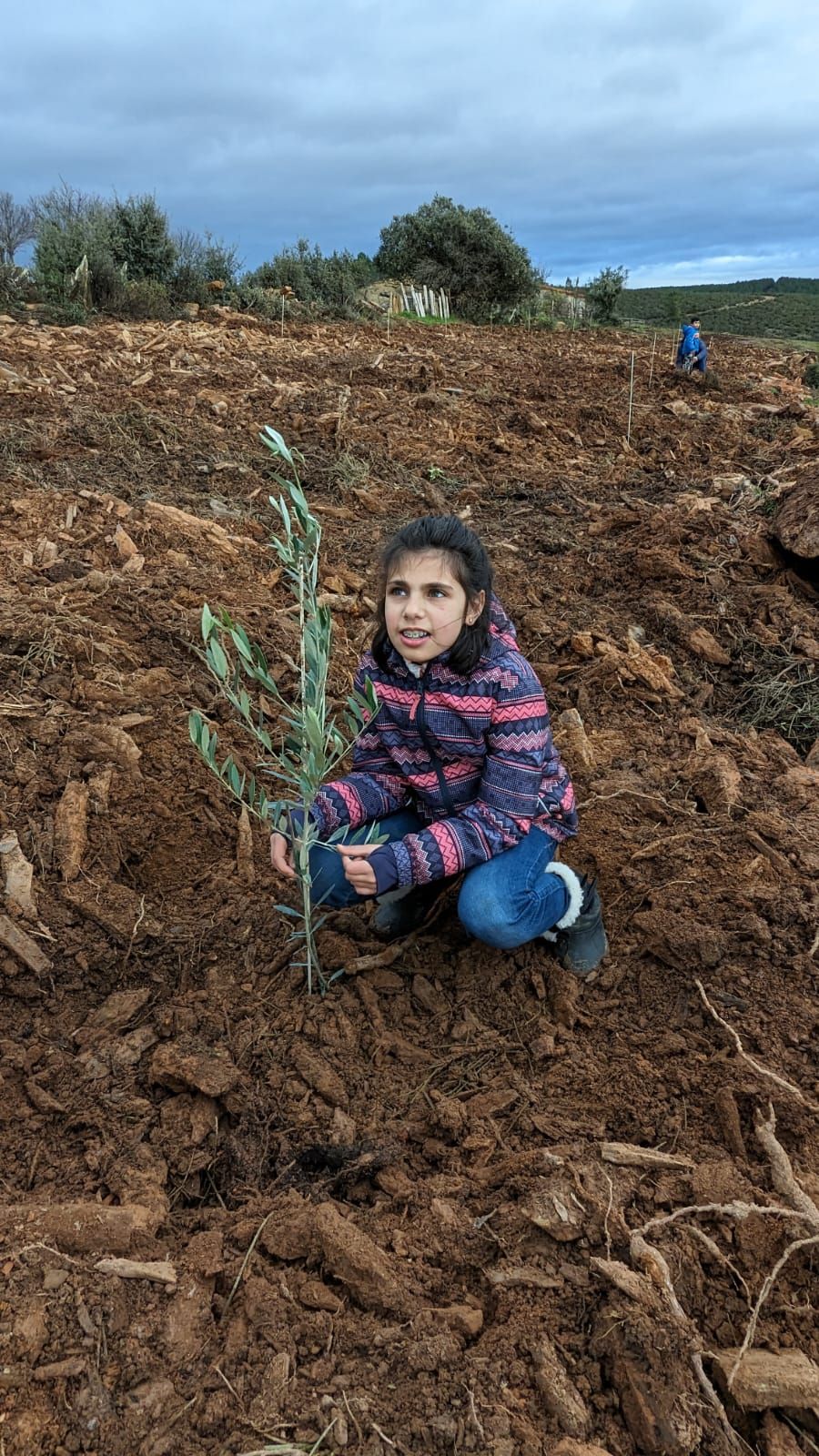 GALERÍA | Un jardín de 20 especies de olivos en Aliste