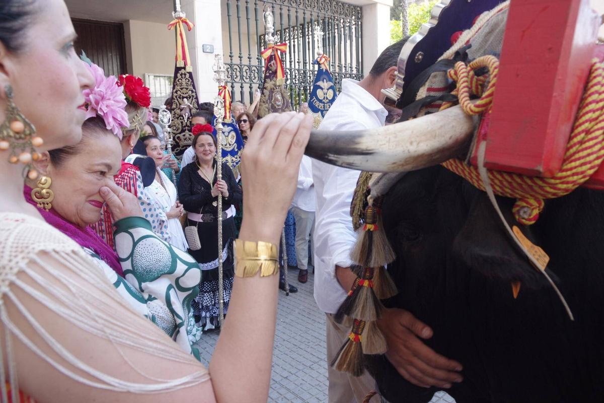 La Hermandad del Rocío de Málaga inicia el camino