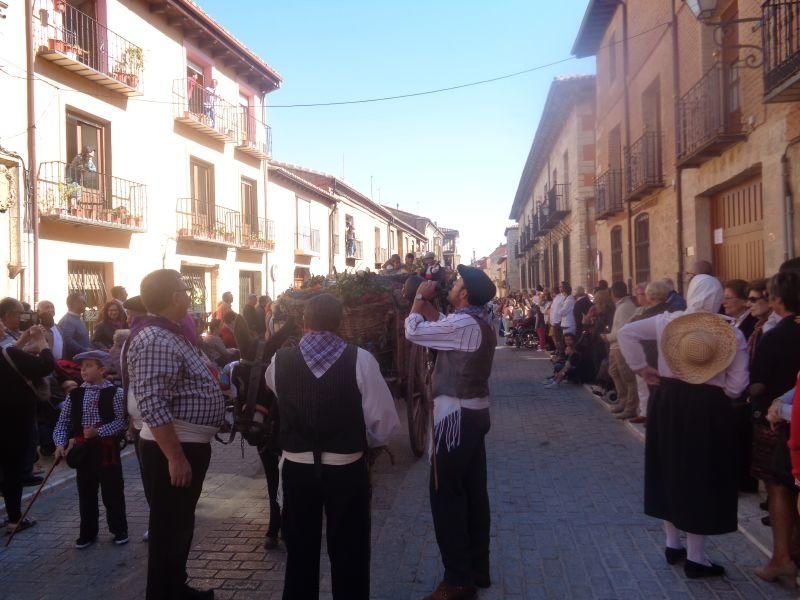 Desfile de carros en La Vendimia 2016 (Toro)