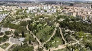 Lo Morant, el pulmón verde de Alicante que lucha por respirar