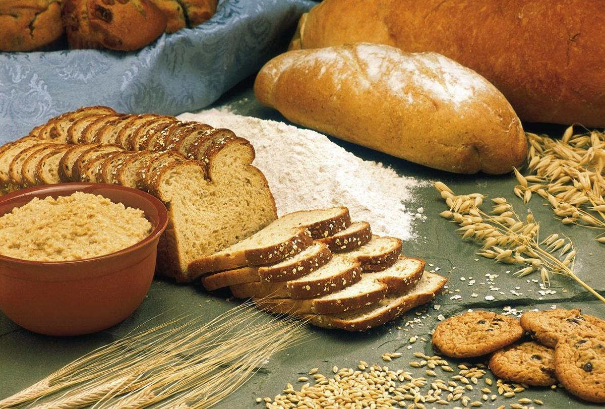Repostería con pan o humus de lombriz: así emprenden estas mujeres en la agroalimentación