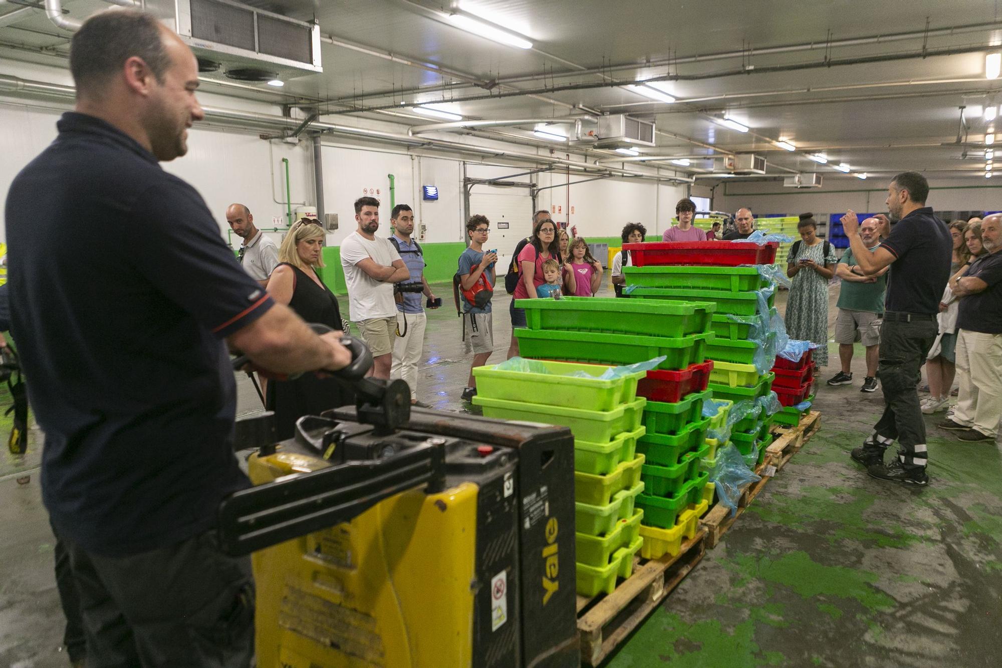 EN IMÁGENES: Vuelven las visitas guiadas a la rula de Avilés