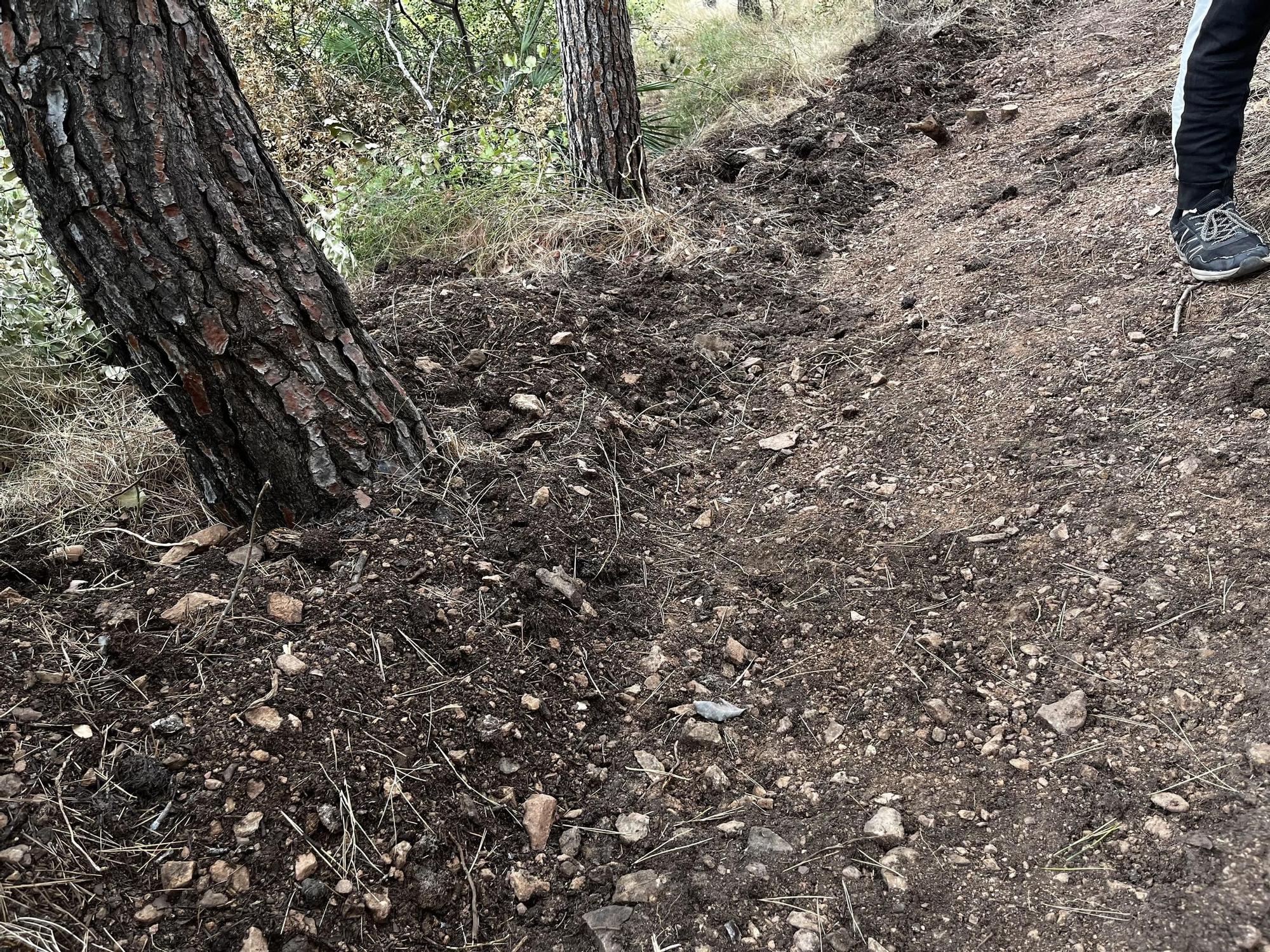 Las imágenes de la pista ilegal abierta en la Vilavella para practicar BTT