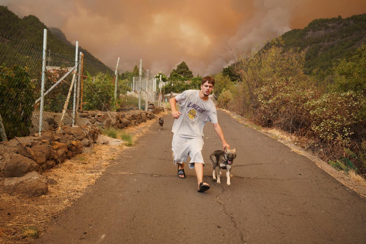 El incendio forestal de Tenerife, sin control