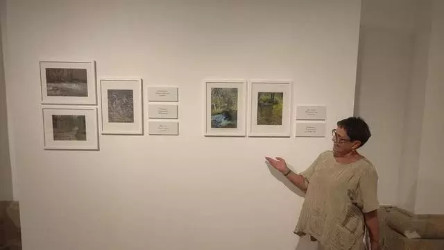 Josefa Lozano recrea los haikus escritos por Julián Alonso en la nueva exposición de la Biblioteca Pública de Zamora: conócela