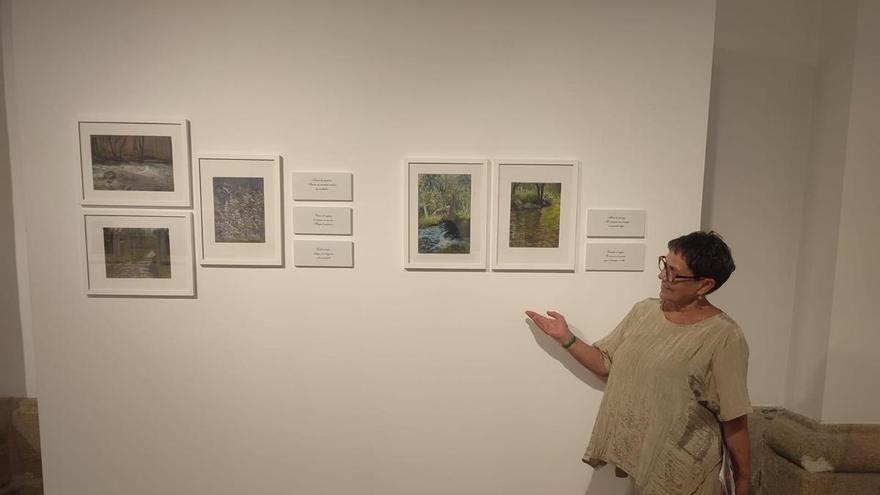 Josefa Lozano recrea los haikus escritos por Julián Alonso en la nueva exposición de la Biblioteca Pública de Zamora: conócela
