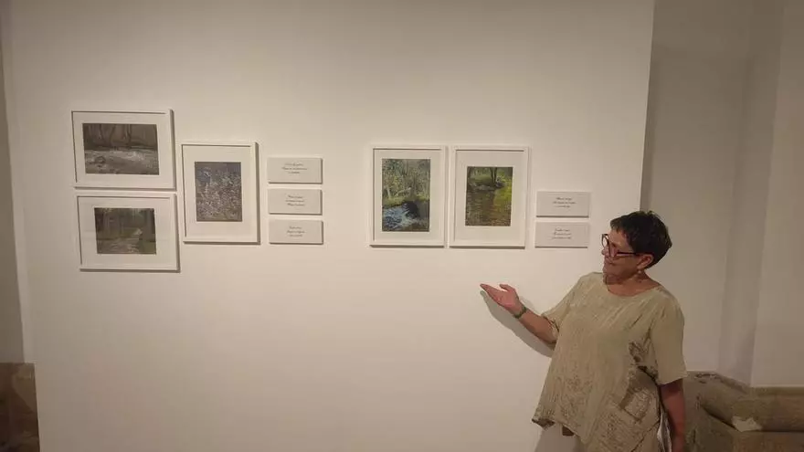 Josefa Lozano recrea los haikus escritos por Julián Alonso en la nueva exposición de la Biblioteca Pública de Zamora: conócela