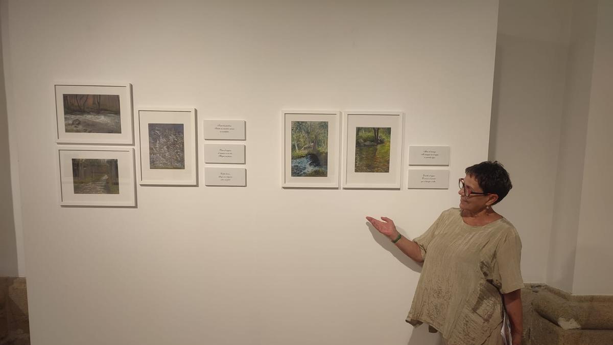 Josefa Lozano recrea los haikus escritos por Julián Alonso en la nueva exposición de la Biblioteca Pública de Zamora: conócela