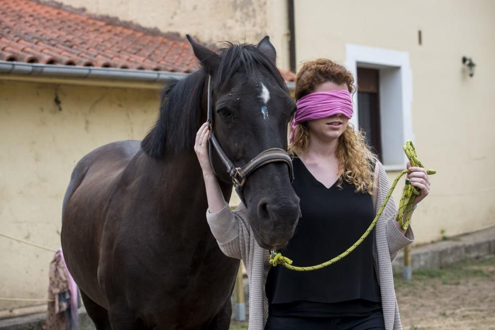 'Coaching' con caballos para empresarios