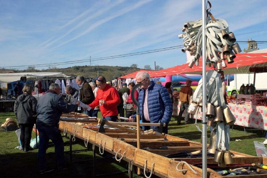 Feria del burro en San Vitero y romería