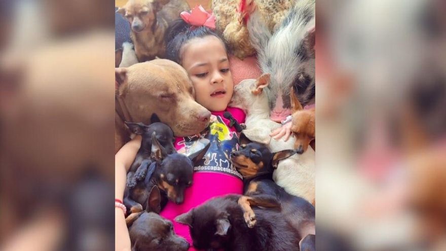 Así 'hipnotiza' esta niña de cinco años a perros, gatos, gallinas, cerdos y pollos