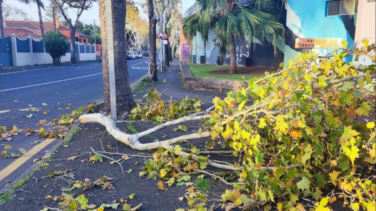 El viento causa incidencias en varias islas durante una borrasca anterior.