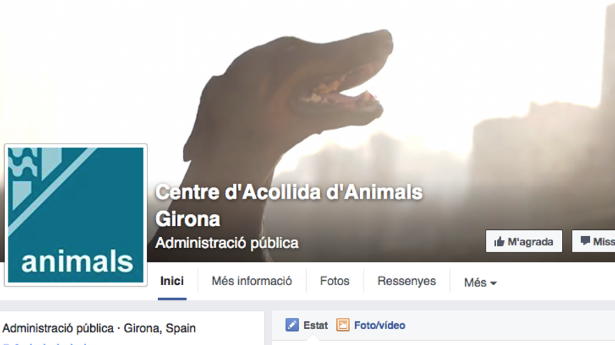 L&#039;Ajuntament de Girona obre una pàgina de Facebook del Centre d&#039;Acollida d&#039;Animals