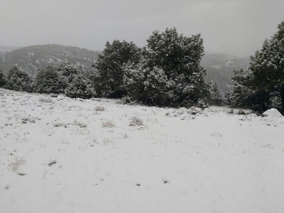 Aspecto, esta mañana, de la Pobla de Sant Miquel, en el Rincón de Ademuz.