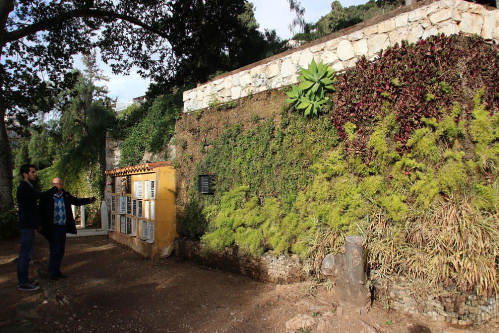 El gerente Guillermo Madueño, delante del jardín vertical del Cementerio Inglés, la zona más renovada de este Bien de Interés Cultural. El jardín vertical albergará columbarios y se completará con un jardín al uso al lado para columbarios en tierra.