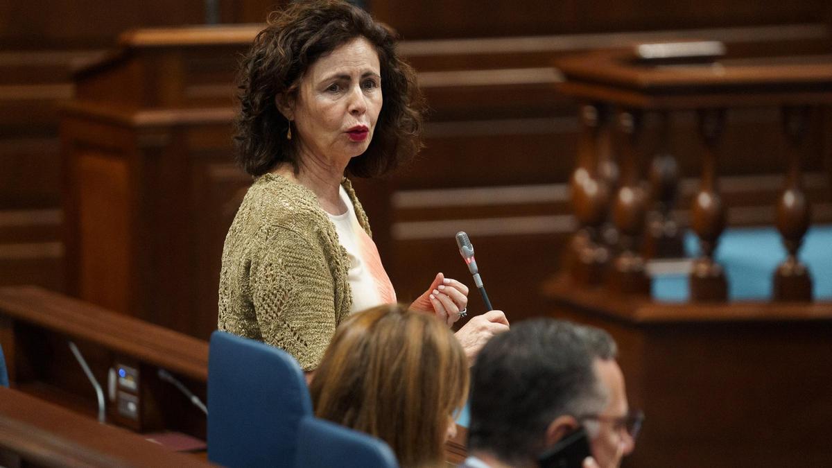 La consejera de Hacienda del Gobierno regional, Matilde Asián, en un reciente pleno del Parlamento.