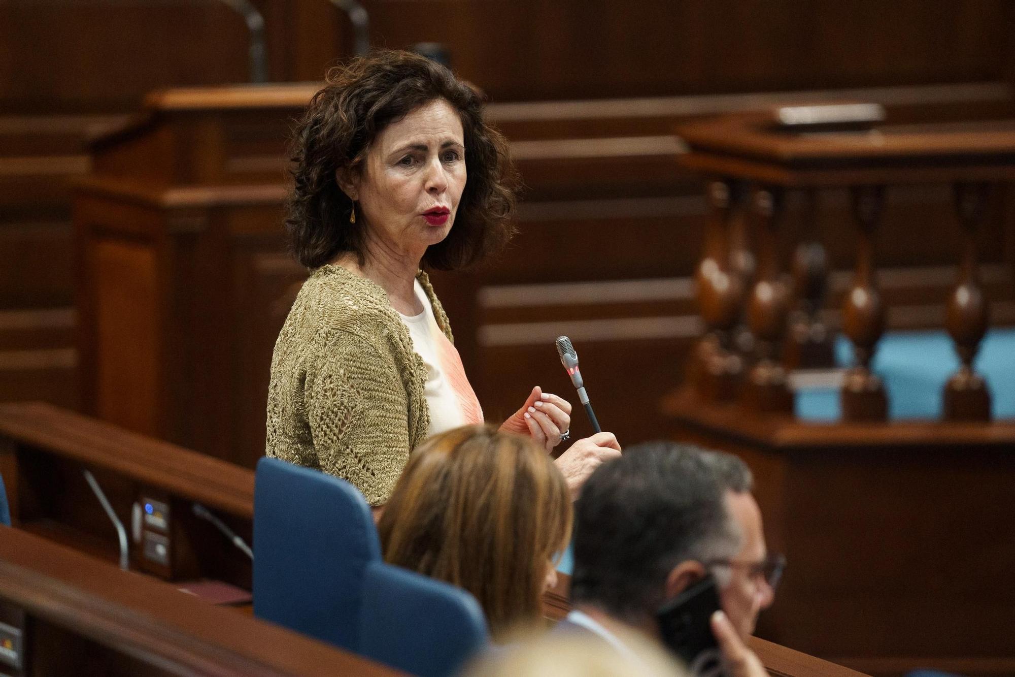 La consejera de Hacienda del Gobierno regional, Matilde Asián, en un reciente pleno del Parlamento.
