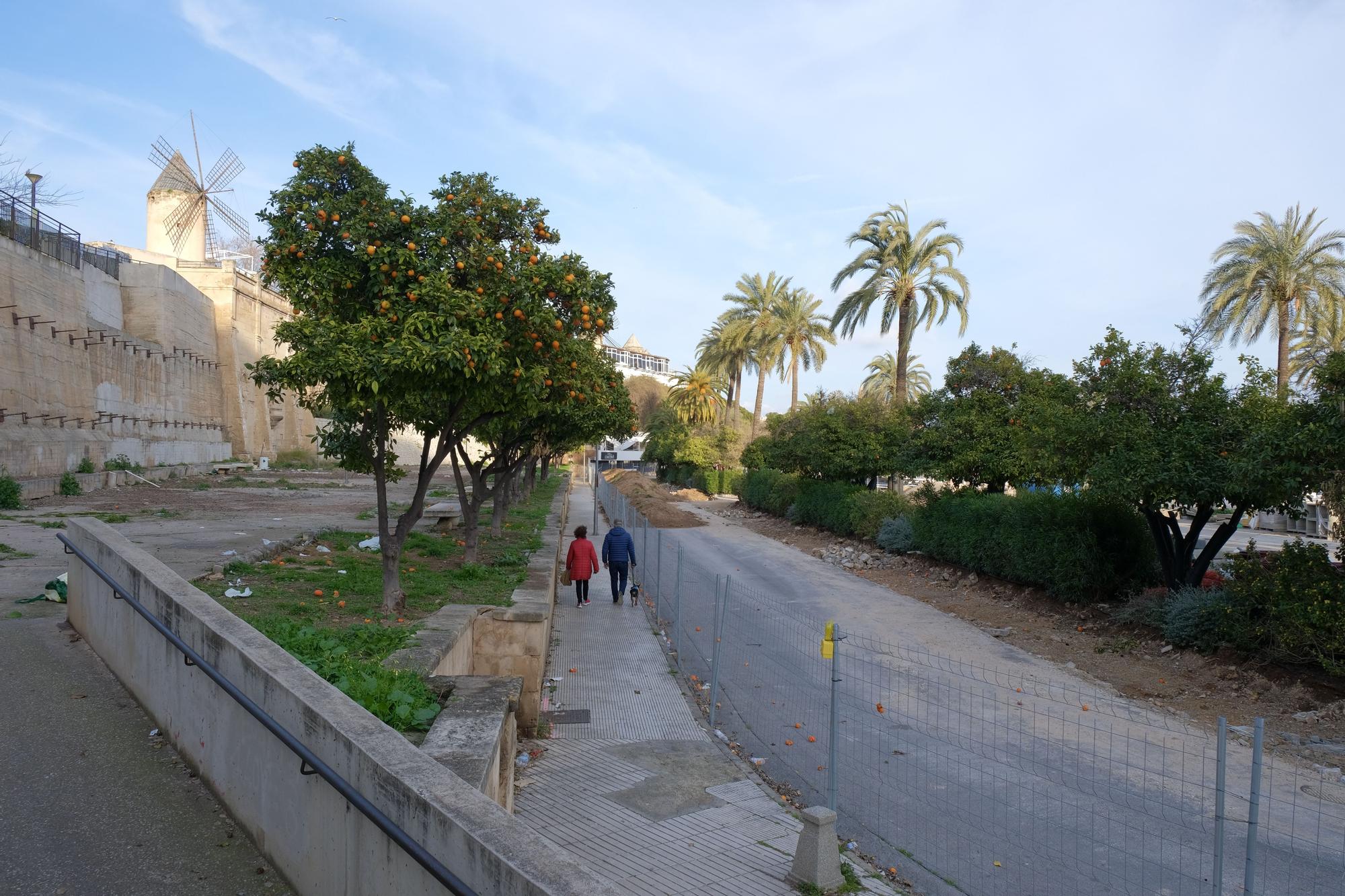 Las fotos de la evolución de obras del Paseo Marítimo de Palma después de tres meses de trabajos