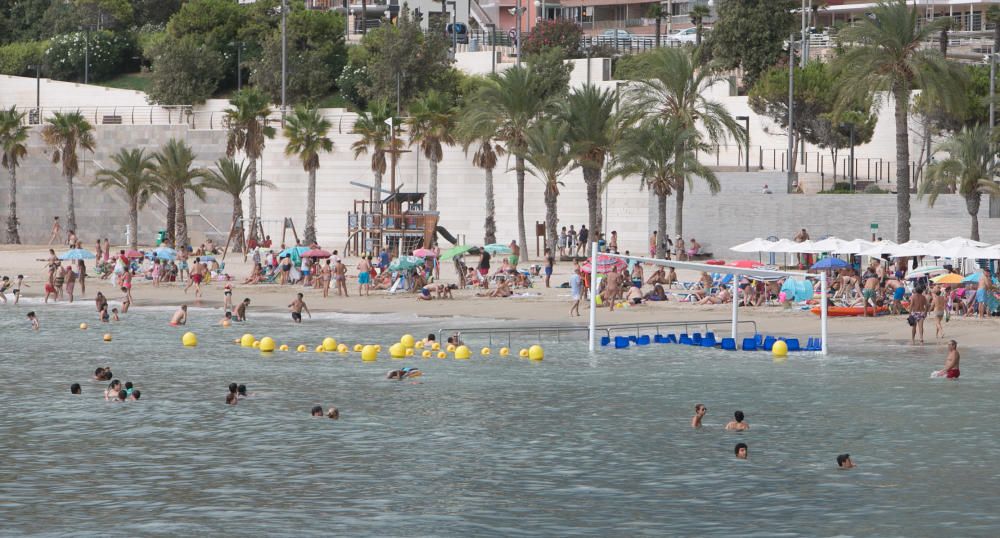 Playa de la Albufereta