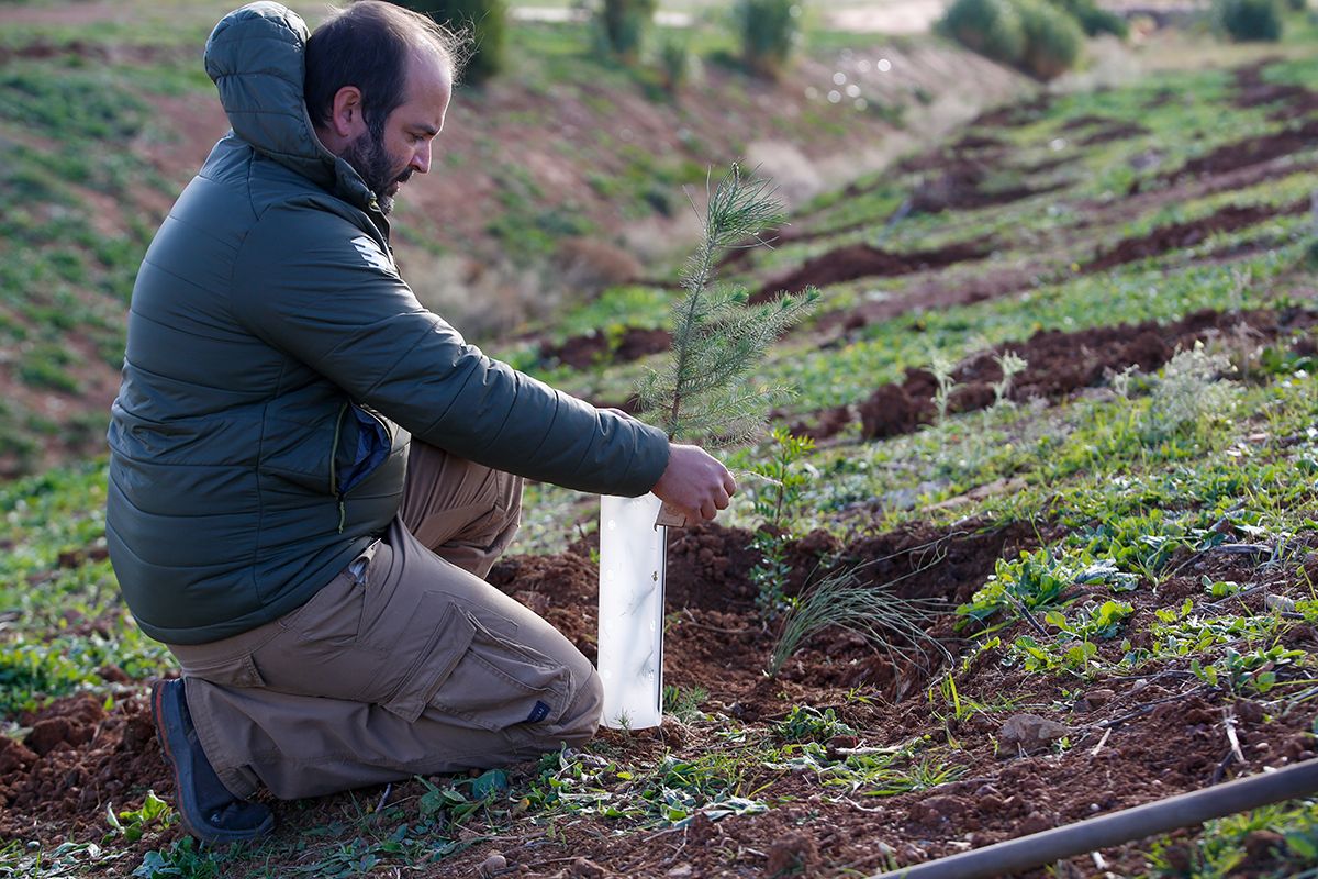 La empresa Fertinyect planta 100 nuevos árboles en el Parque del Flamenco