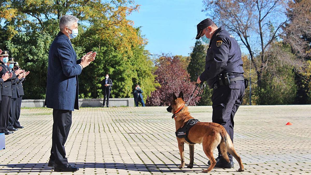 Condecoran a seis perros de la Policía | INFORMACIÓN