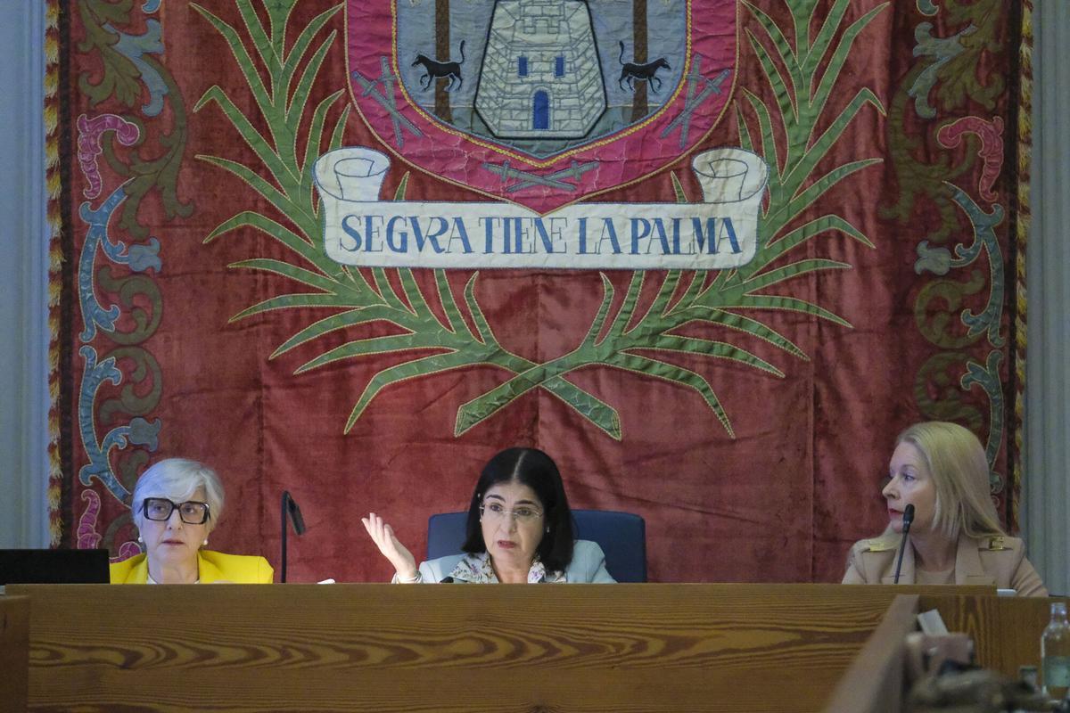Pleno extraordinario del Ayuntamiento