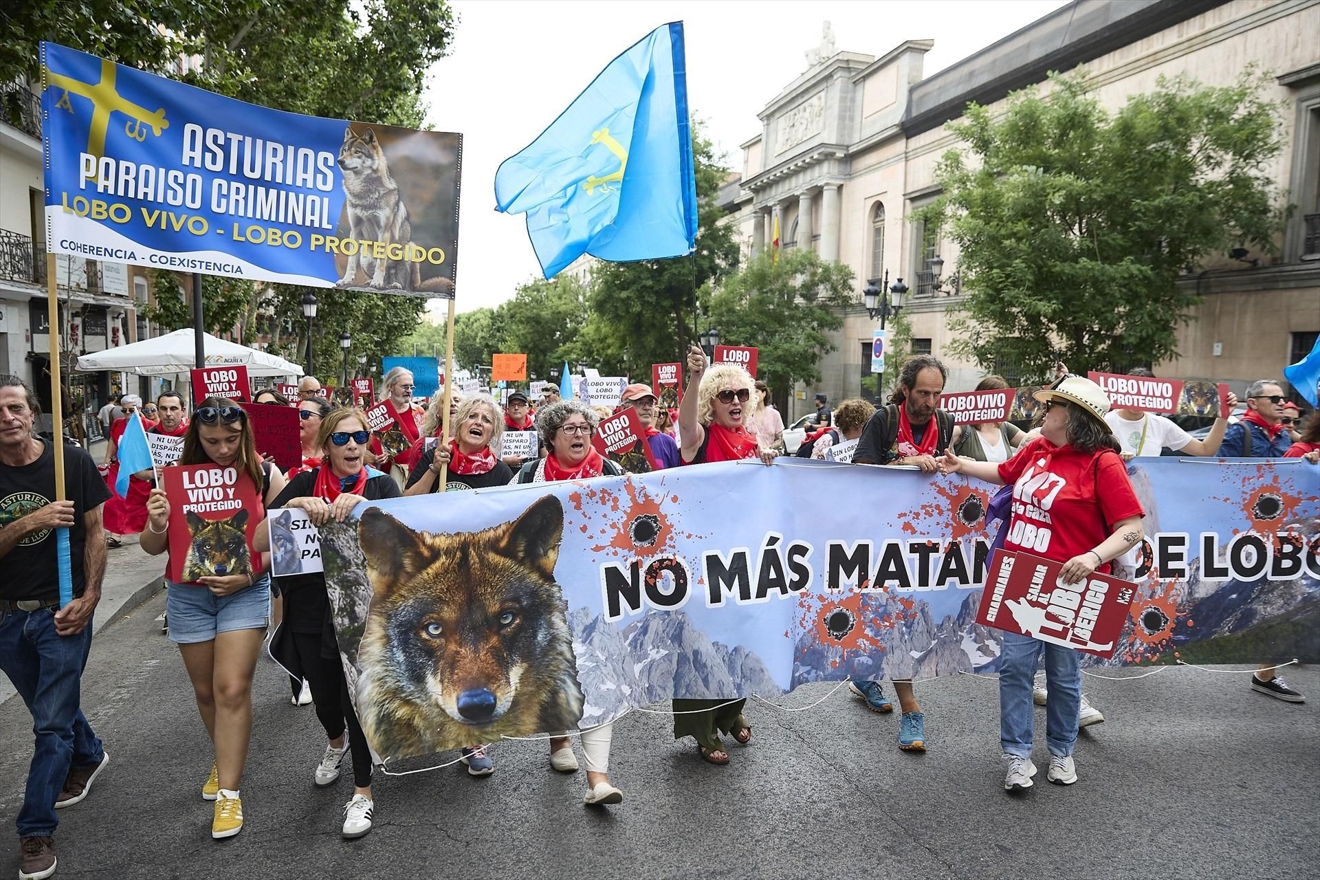 Las imágenes de la manifestación en Madrid por el lobo