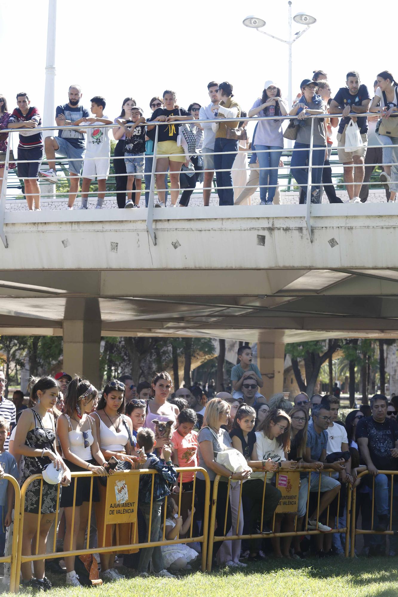 La Feria Animalista de València, en imágenes