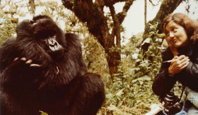 Dian Fossey en Ruanda