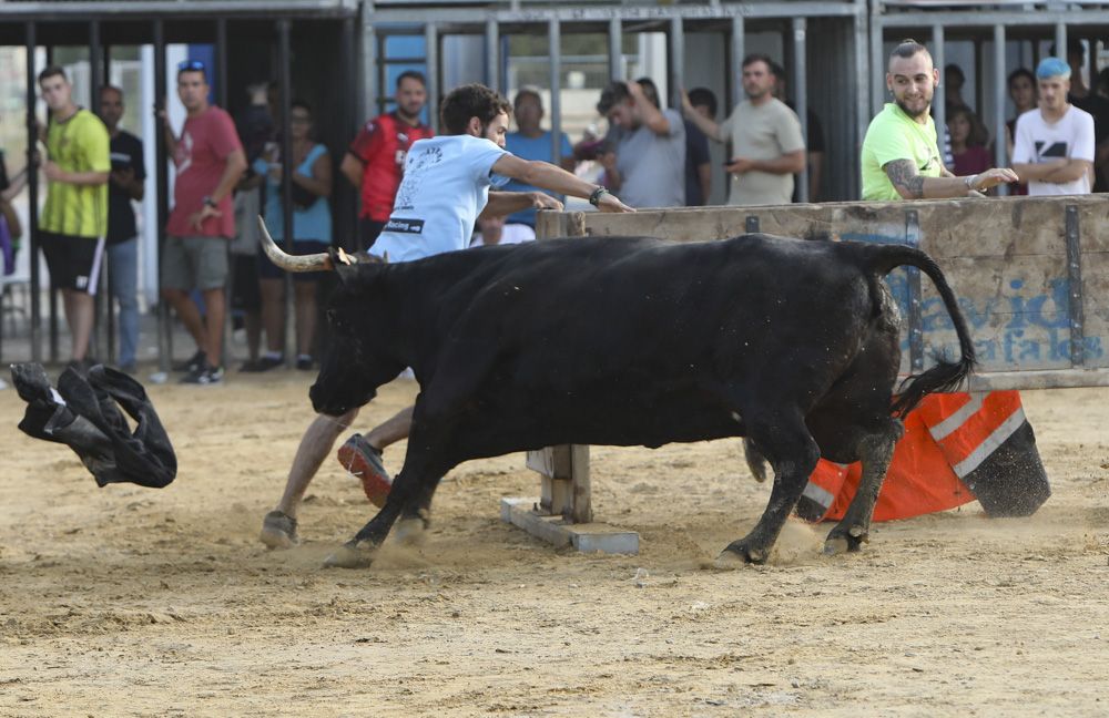 Los mejores momentos de la tarde de vacas y toros en las fiestas del Port de Sagunt