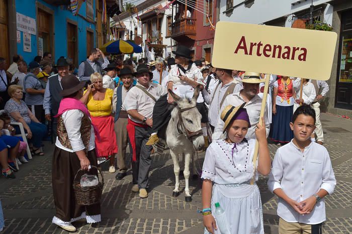 Carretas y grupos en la romería del Pino