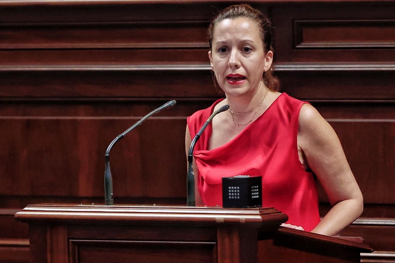 Pleno del Parlamento de Canarias, 13.07.2022